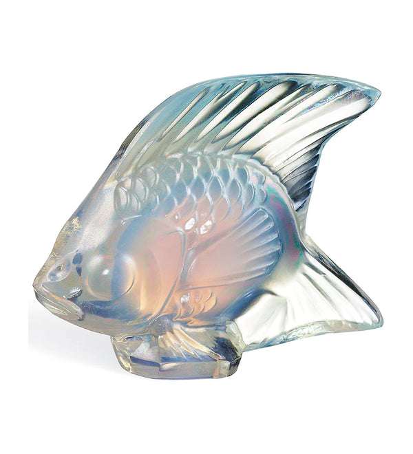 fish opalescent lustre