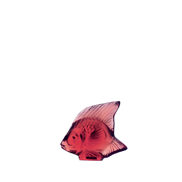 fish golden red