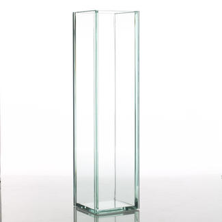 glass plate vase 4x4x16 clear