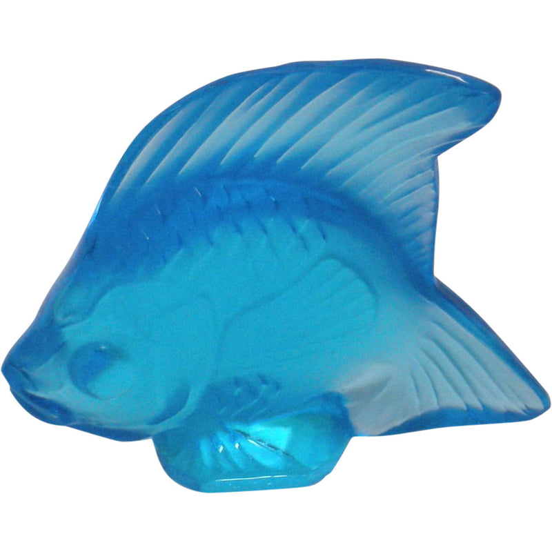 Fish turquoise