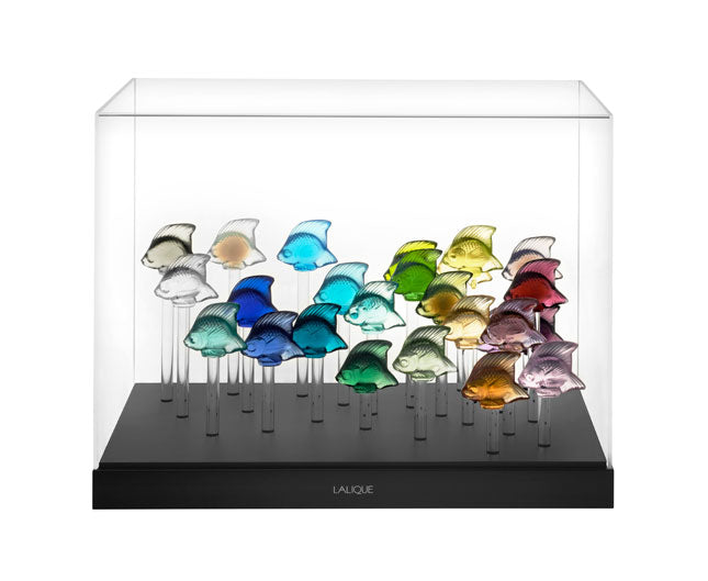 Aquarium 25 fish crystal display  black base w/lid