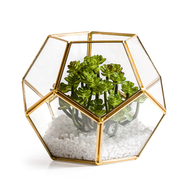 oro glass sphere terrarium