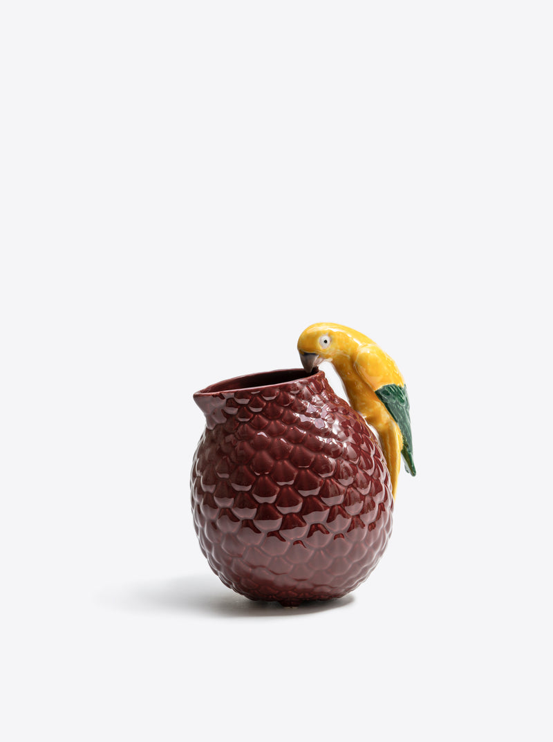 Amazonia pitcher