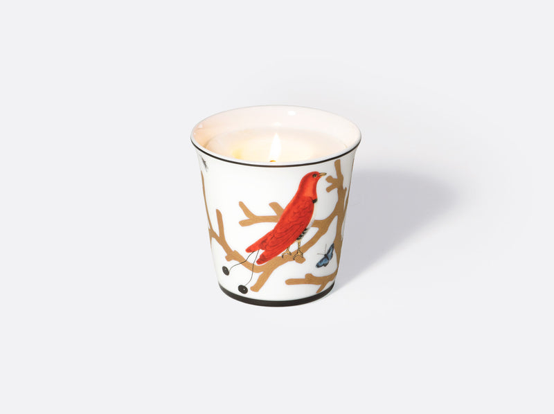 Aux Oiseaux candle 200gr