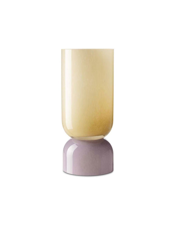 Yu bicol vase H28