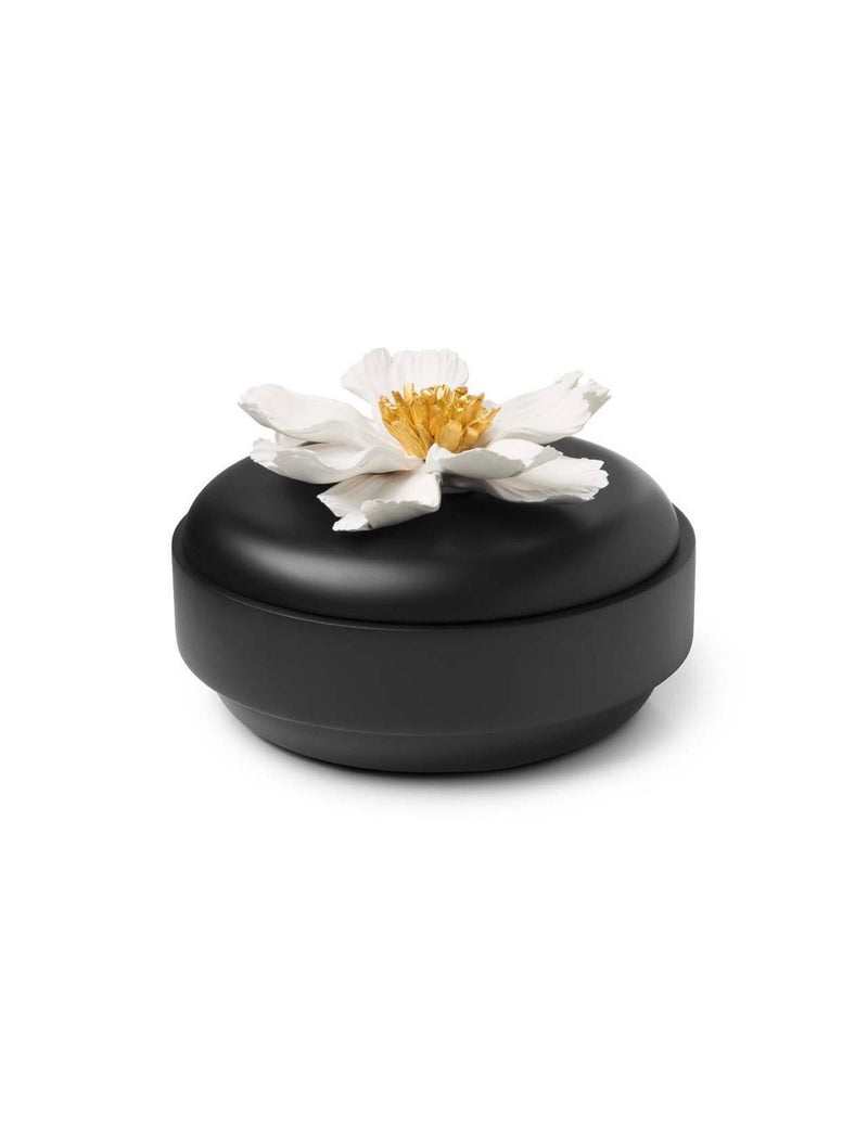 Peony box flat H10