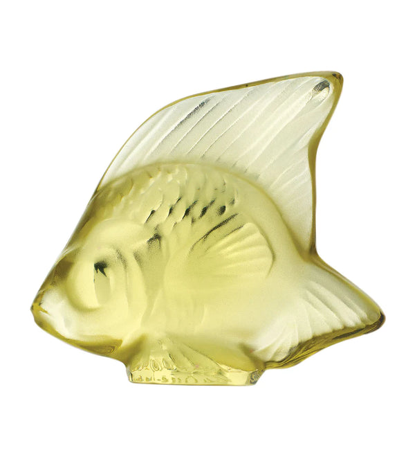 fish yellow