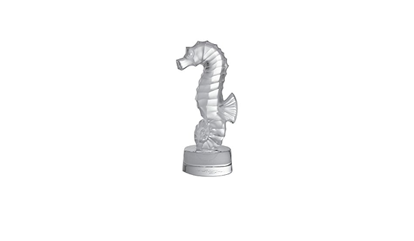 Hippocampe seahorse clear