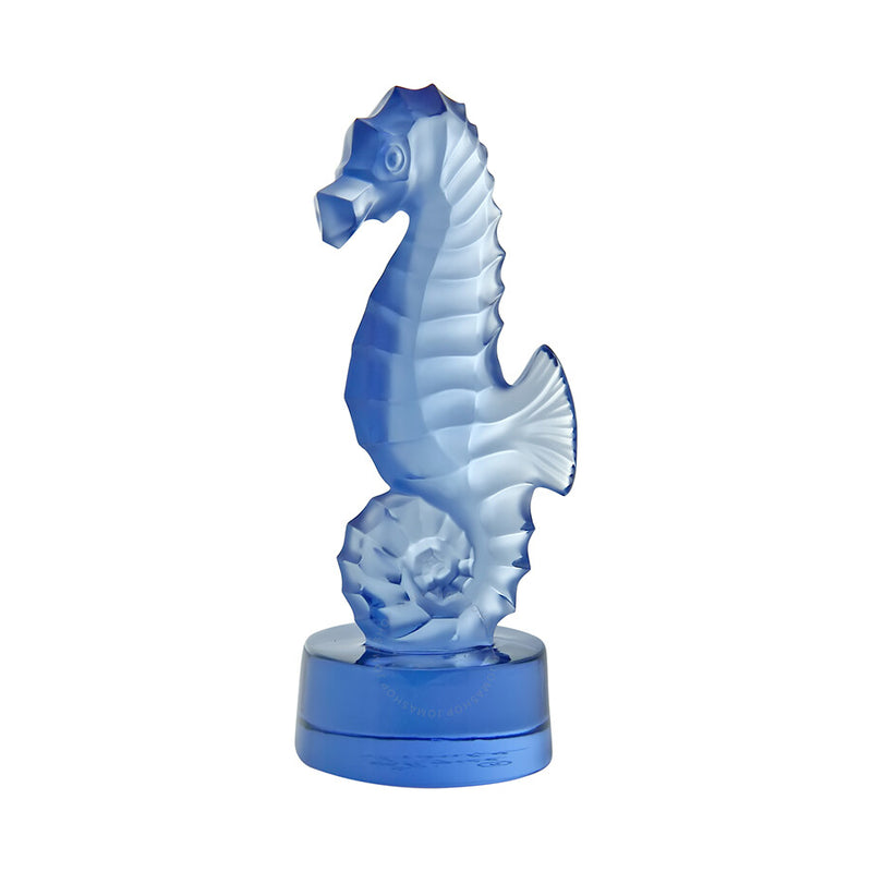 Hippocampe seahorse blue