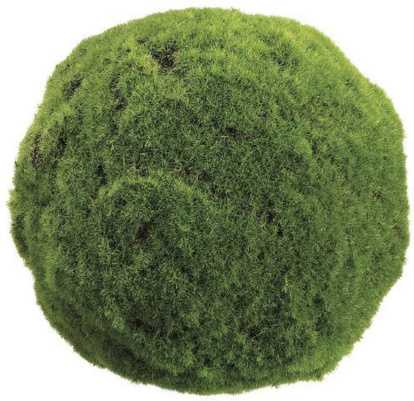 5" moss ball green