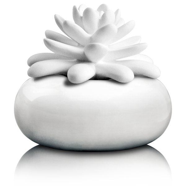 White small porcelain diffuser white dandelion
