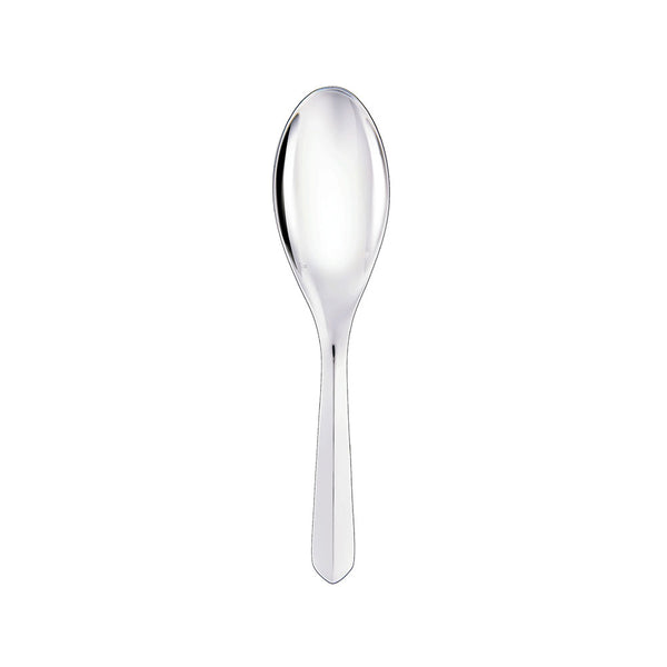 Infini serving spoon
