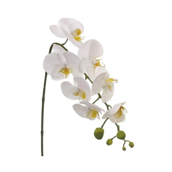 44.5" phalaenopsis spray cream
