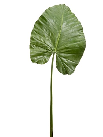 44" Elephant ear leaf spray