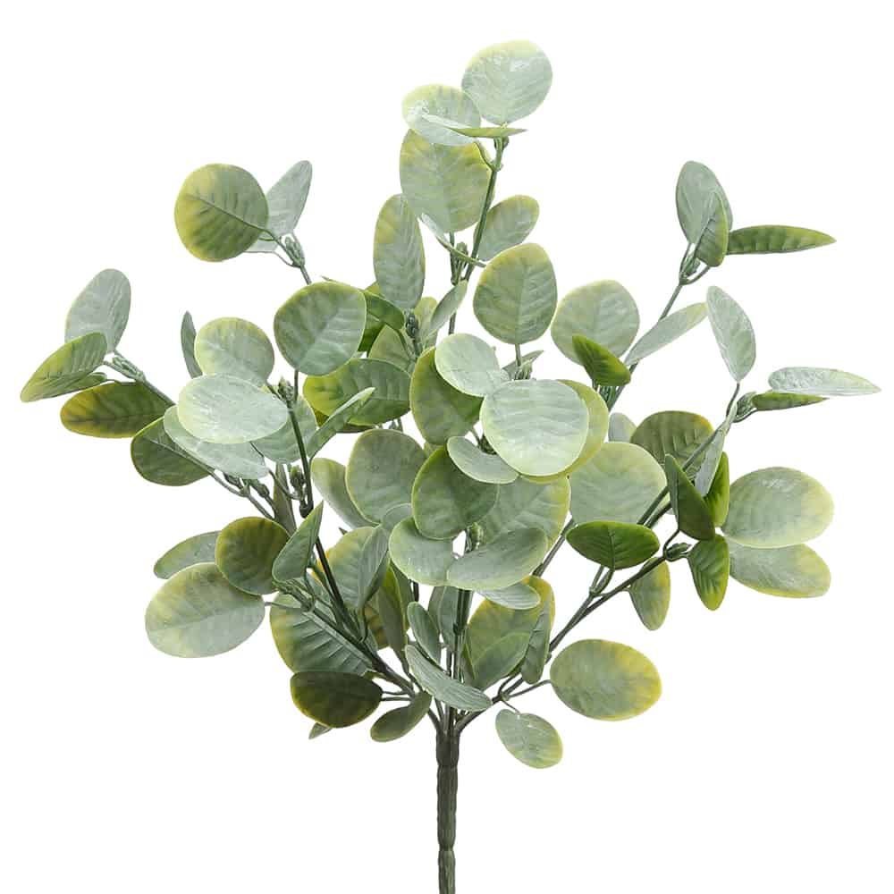 Flores y Plantas para decorar espacios al estilo Trendy Living Panama