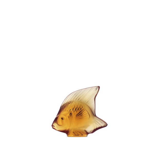 Fish amber