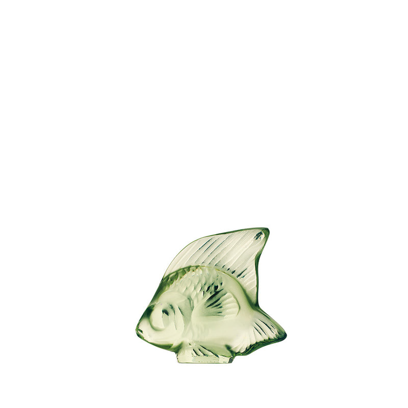fish light green