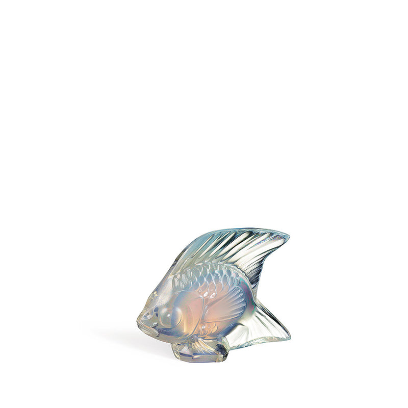 Fish opalescent