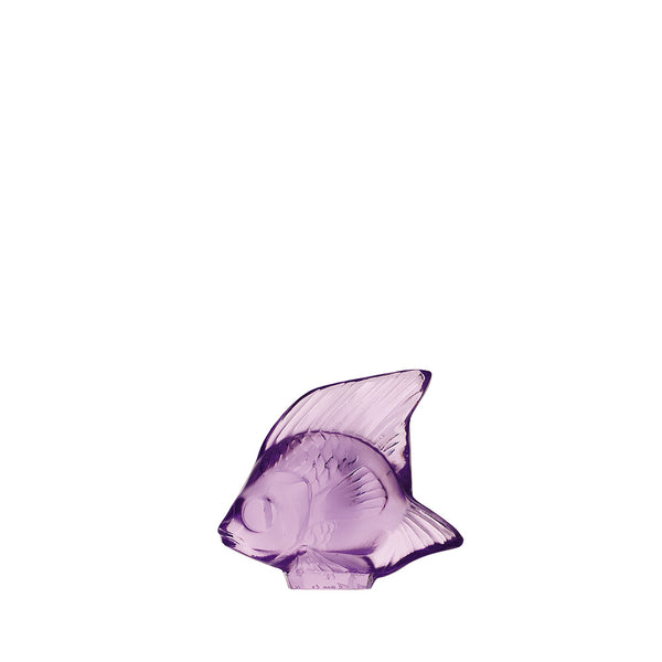 fish light violet